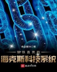 鋼鐵直男的海克斯科技系統